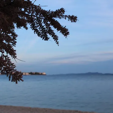 Cveljo * Zadar